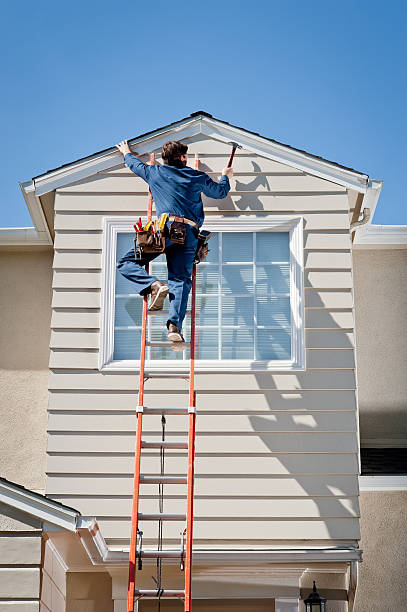 Best Stone Veneer Siding  in Lenoir City, TN